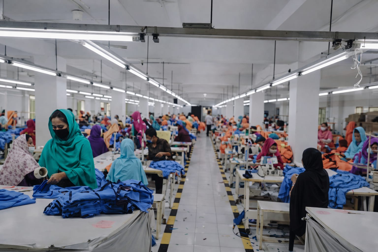 Bitex Creation's -Since 2023